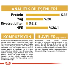 Royal Canin Kitten British Shorthair Yavru Kedi Maması 2kg