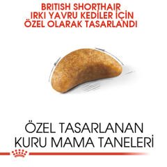 Royal Canin Kitten British Shorthair Yavru Kedi Maması 2kg
