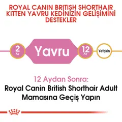 Royal Canin Kitten British Shorthair Yavru Kedi Maması 2kg