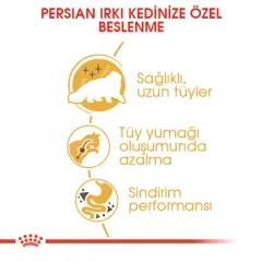Royal Canin İran Kedileri İçin Yetişkin Kedi Maması 2kg
