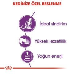 Royal Canin Sensible 33 Hassas Sindirim Sistemi Destekleyici Kedi Maması 2kg