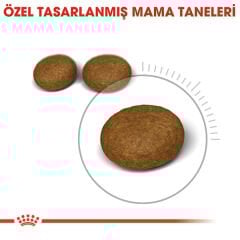 Royal Canin Hair&Skin Hassas Tüylü Kedi Maması 2kg
