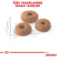 Royal Canin Fit 32 Yetişkin Kedi Maması 15kg