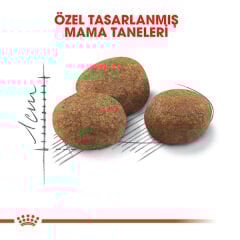 Royal Canin Sterilised 7+ Kısırlaştırılmış Yaşlı Kedi Maması 1,5kg