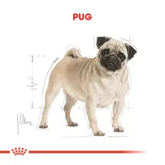 Royal Canin Pug Yetişkin Köpek Maması 1,5kg