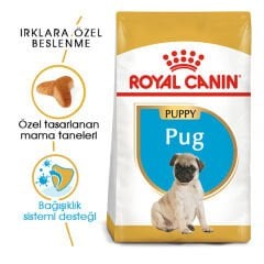 Royal Canin Pug Junior Yavru Köpek Maması 1,5kg