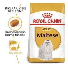 Royal Canin Maltese Terrier Yetişkin Köpek Maması 1,5kg
