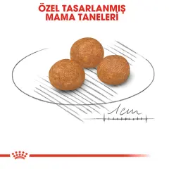 Royal Canin X-Small Küçük Irk Yetişkin Köpek Maması 1,5kg