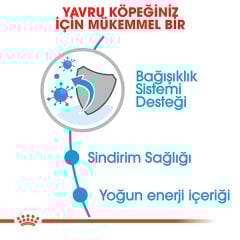 Royal Canin Mini Junior Küçük Irk Yavru Köpek Maması 2kg