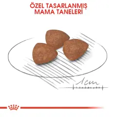 Royal Canin Mini Junior Küçük Irk Yavru Köpek Maması 2kg