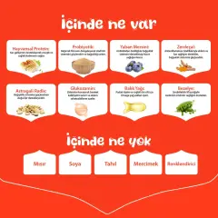 Wanpy Tavuklu Tahılsız Yetişkin Köpek Maması 1.5 KG
