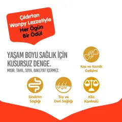 Wanpy Sığır Etli Tahılsız Yetişkin Köpek Maması 1.5 KG