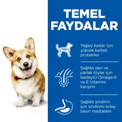 Hills Small & Mini Adult Tavuklu Köpek Maması 1.5 KG