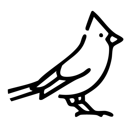 Kuş Ürünleri