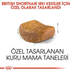 Royal Canin British Shorthair Yetişkin Kedi Maması 2kg