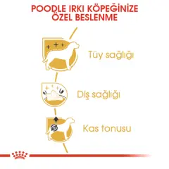Royal Canin Poodle Yetişkin Köpek Maması 3kg