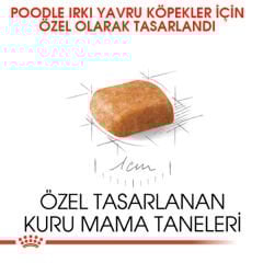 Royal Canin Puppy Poodle Caniche Yavru Köpek Maması 3kg