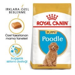 Royal Canin Puppy Poodle Caniche Yavru Köpek Maması 3kg