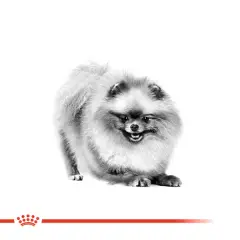 Royal Canin Pomeranian Yetişkin Köpek Maması 3kg