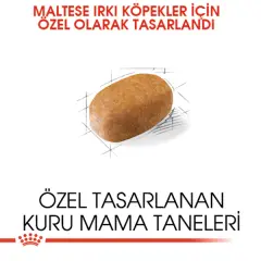 Royal Canin Maltese Terrier Yetişkin Köpek Maması 1,5kg