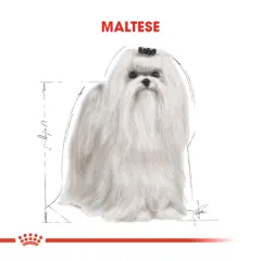 Royal Canin Maltese Terrier Yetişkin Köpek Maması 1,5kg