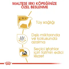 Royal Canin Maltese Terrier Yetişkin Köpek Maması 1,5kg