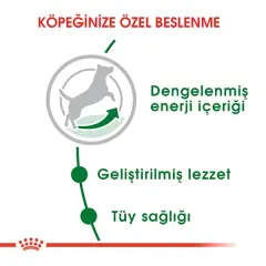 Royal Canin Mini Küçük Irk Yetişkin Köpek Maması 4kg