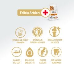 Felicia 3 Kg Kolajenli Somonlu Az Tahıllı Small/Mini Yetişkin Köpek Maması