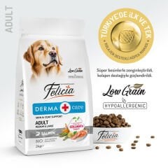 Felicia Kolajenli Somonlu Az Tahıllı M/Large Yetişkin Köpek Maması 3KG