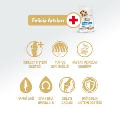 Felicia Kolajenli Somonlu Az Tahıllı M/Large Yetişkin Köpek Maması 3KG