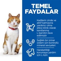 Hill's SCIENCE PLAN Somonlu Kısırlaştırılmış Kedi Maması 1,5kg