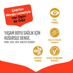 Wanpy Tavuklu Tahılsız Yavru Kedi Maması 1,5kg