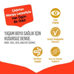 Wanpy Tavuklu Tahılsız Yetişkin Kedi Maması 1,5kg