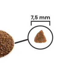 Acana First Feast Tavuklu ve Balıklı Yavru Kedi Maması 1,8kg