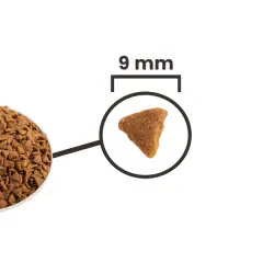Acana Indoor Entree Hairball Control Tavuklu ve Ringa Balıklı Kısırlaştırılmış Kedi Maması 1,8kg
