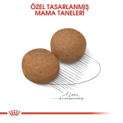 Royal Canin Maxi Büyük Irk Yetişkin Köpek Maması 15kg