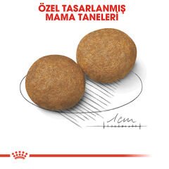 Royal Canin Medium Orta Irk Yetişkin Köpek Maması 15kg