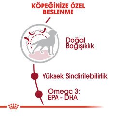 Royal Canin Medium Orta Irk Yetişkin Köpek Maması 15kg