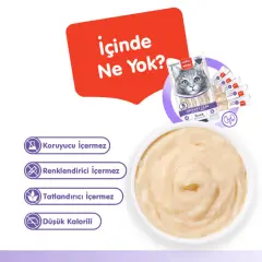 Wanpy Urinary Care Ördekli ve Tavuklu Üriner Sistem Desteği Krema Kedi Ödül Maması 14gr (5'li)