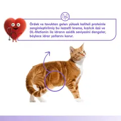 Wanpy Urinary Care Ördekli ve Tavuklu Üriner Sistem Desteği Krema Kedi Ödül Maması 14gr (5'li)