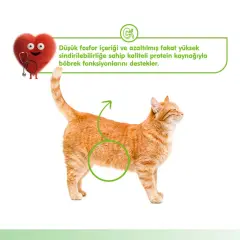 Wanpy Kidney Health Tavuklu ve Sebzeli Böbrek Sağlığı Desteği Krema Kedi Ödül Maması 14gr (5'li)