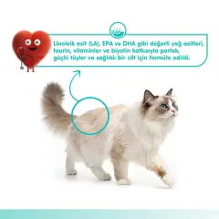 Wanpy Skin&Coat Ton Balıklı ve Somonlu Tüy Sağlığı Destekleyici Krema Kedi Ödül Maması 14gr (5'li)