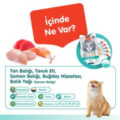 Wanpy Skin&Coat Ton Balıklı ve Somonlu Tüy Sağlığı Destekleyici Krema Kedi Ödül Maması 14gr (5'li)