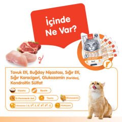 Wanpy Joint Support Sığır Etli ve Tavuklu Eklem Desteği Krema Kedi Ödül Maması 14gr (5'li)