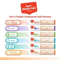 Wanpy Digestive Health Somonlu ve Tavuklu Sindirim Desteği Krema Kedi Ödül Maması 14gr (5'li)