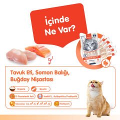 Wanpy Digestive Health Somonlu ve Tavuklu Sindirim Desteği Krema Kedi Ödül Maması 14gr (5'li)