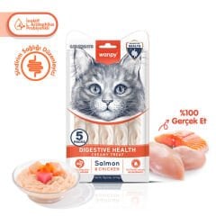 Wanpy Digestive Health Somonlu ve Tavuklu Sindirim Desteği Krema Kedi Ödül Maması 14gr (5'li)