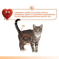 Wanpy Digestive Health Somonlu ve Tavuklu Sindirim Desteği Krema Kedi Ödül Maması 14gr (5'li)