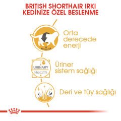 Royal Canin Pouch British Yetişkin Kedi Konservesi 85gr