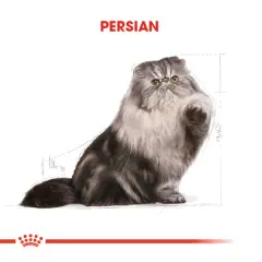 Royal Canin İran Kedisi Yetişkin Ezme Kedi Konservesi 85gr